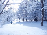 13who_is_in_snow.JPG